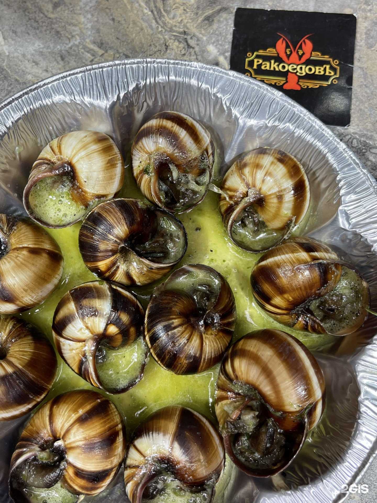 Отзывы на компанию РакоедовЪ в г. Новороссийск c фото