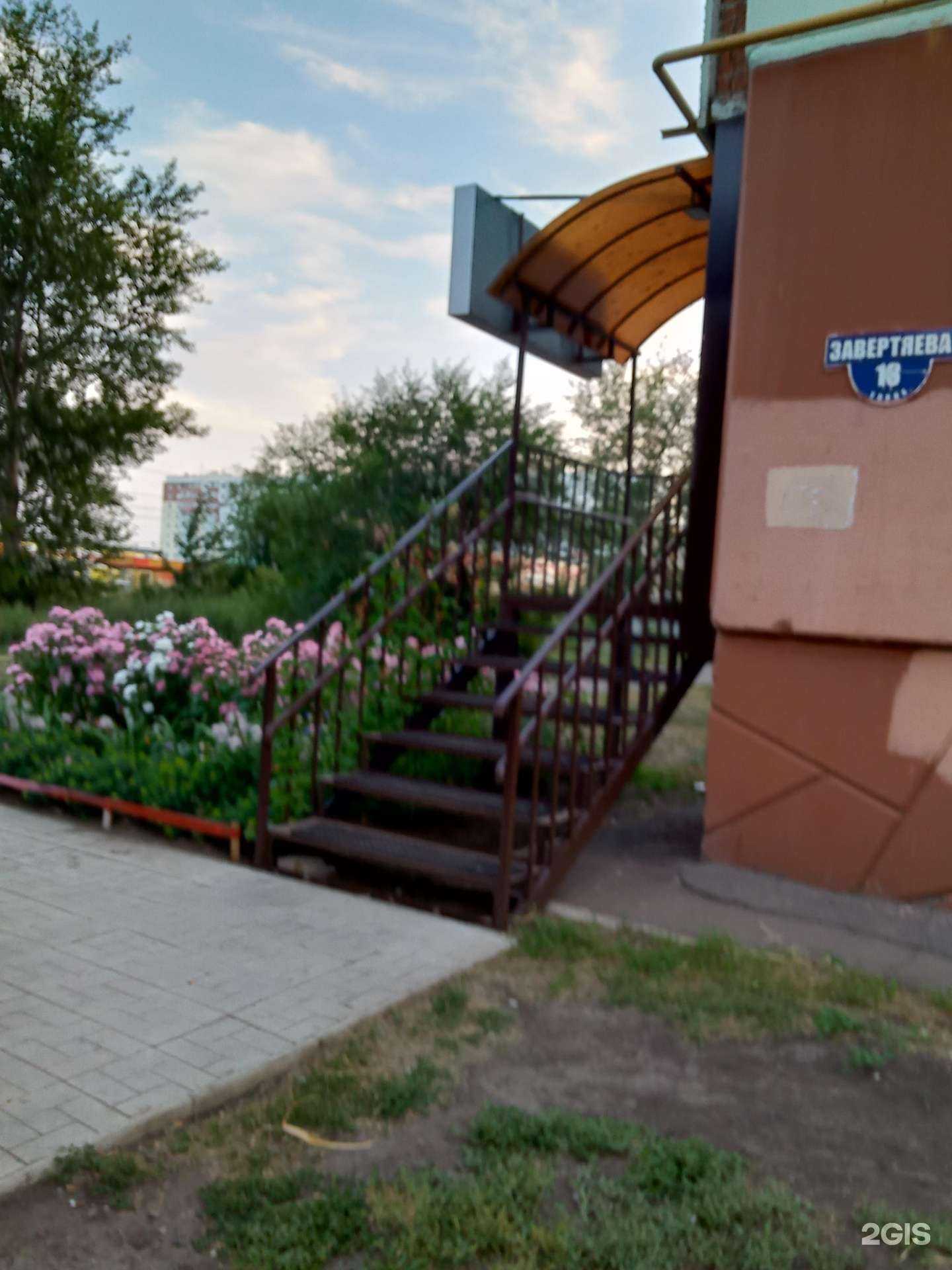 Отзывы на компанию Магазин зоотоваров в Омске c фото