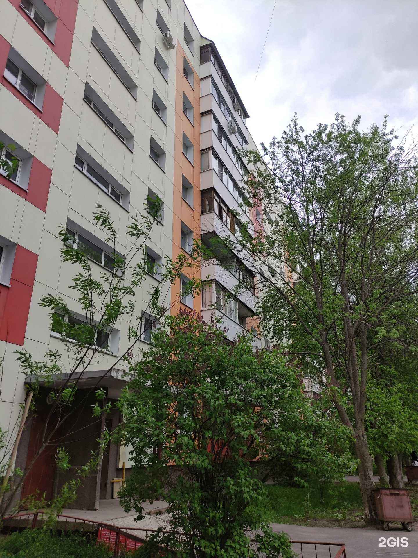 Отзывы на компанию Спортивная школа по киокусинкай в Коломне c фото - фотография 2 из 2