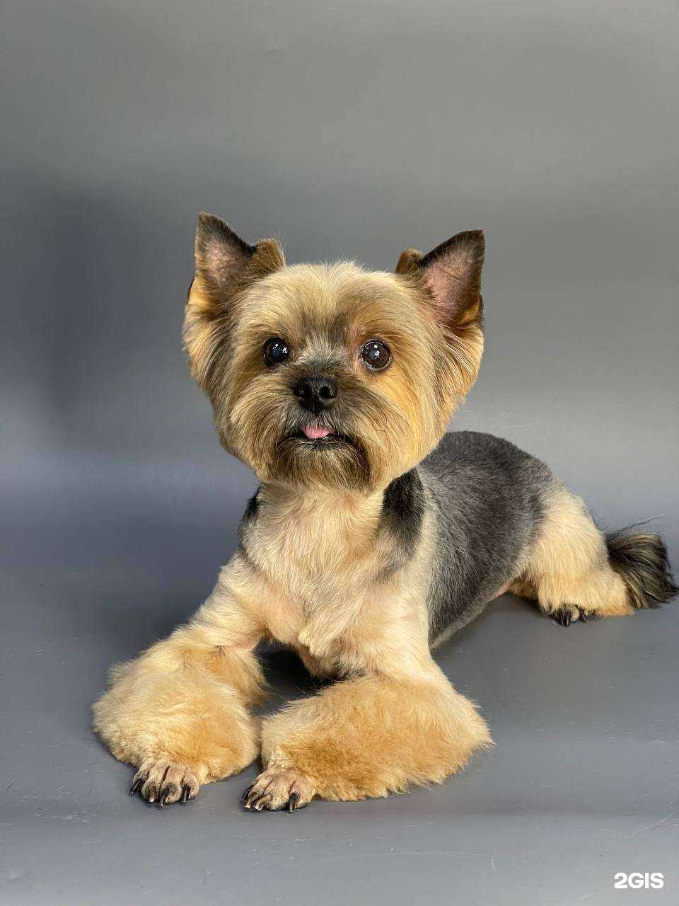 Отзывы на компанию Матильда в Ростове-на-Дону c фото