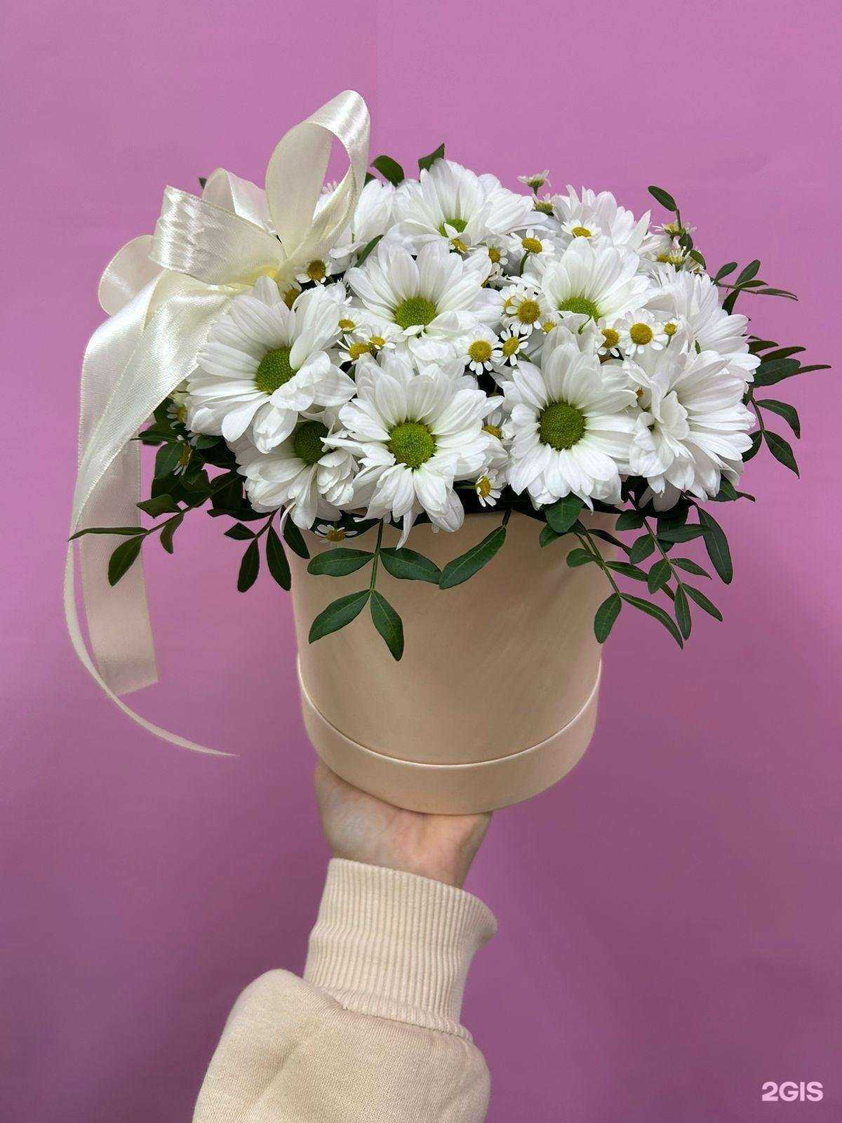 Отзывы на компанию Фрезия в Сочи c фото