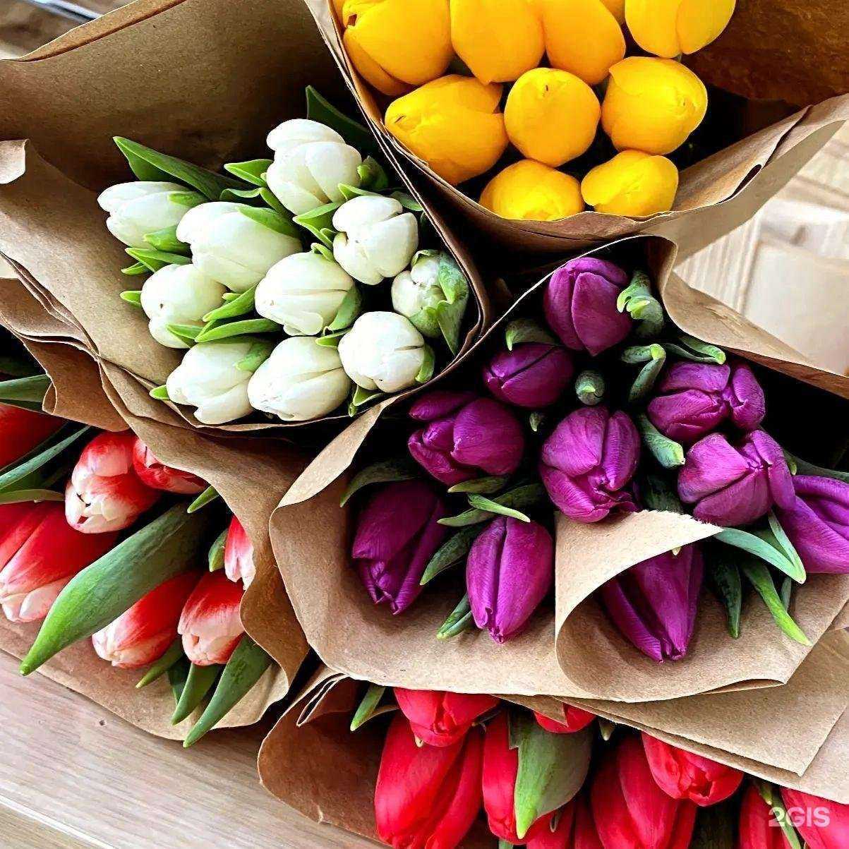 Отзывы на компанию Филфлора в Омске c фото