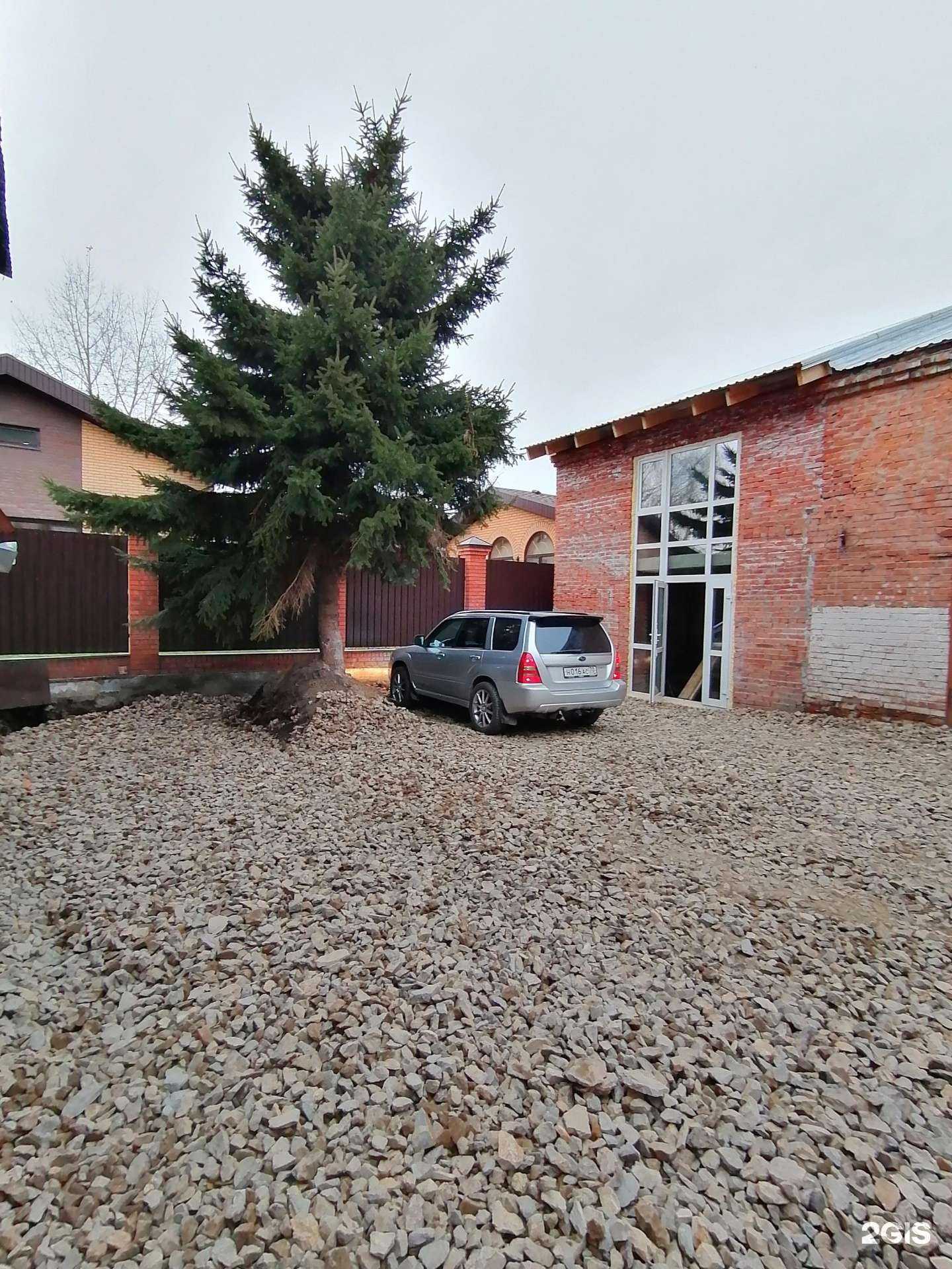 Отзывы на компанию Мэд Шарк в Томске c фото - фотография 2 из 2