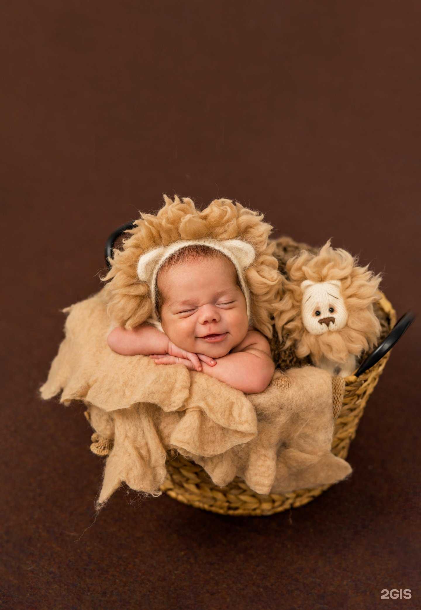 Отзывы на компанию Детская фотостудия Татьяны Андриевской в г. Владивосток c фото