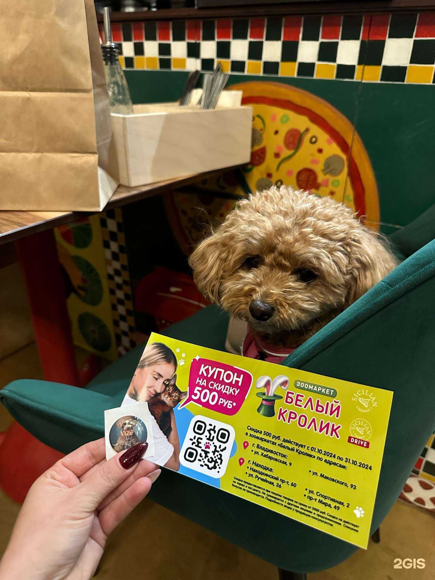 Отзывы на компанию Поток в Владивостоке c фото - фотография 2 из 2