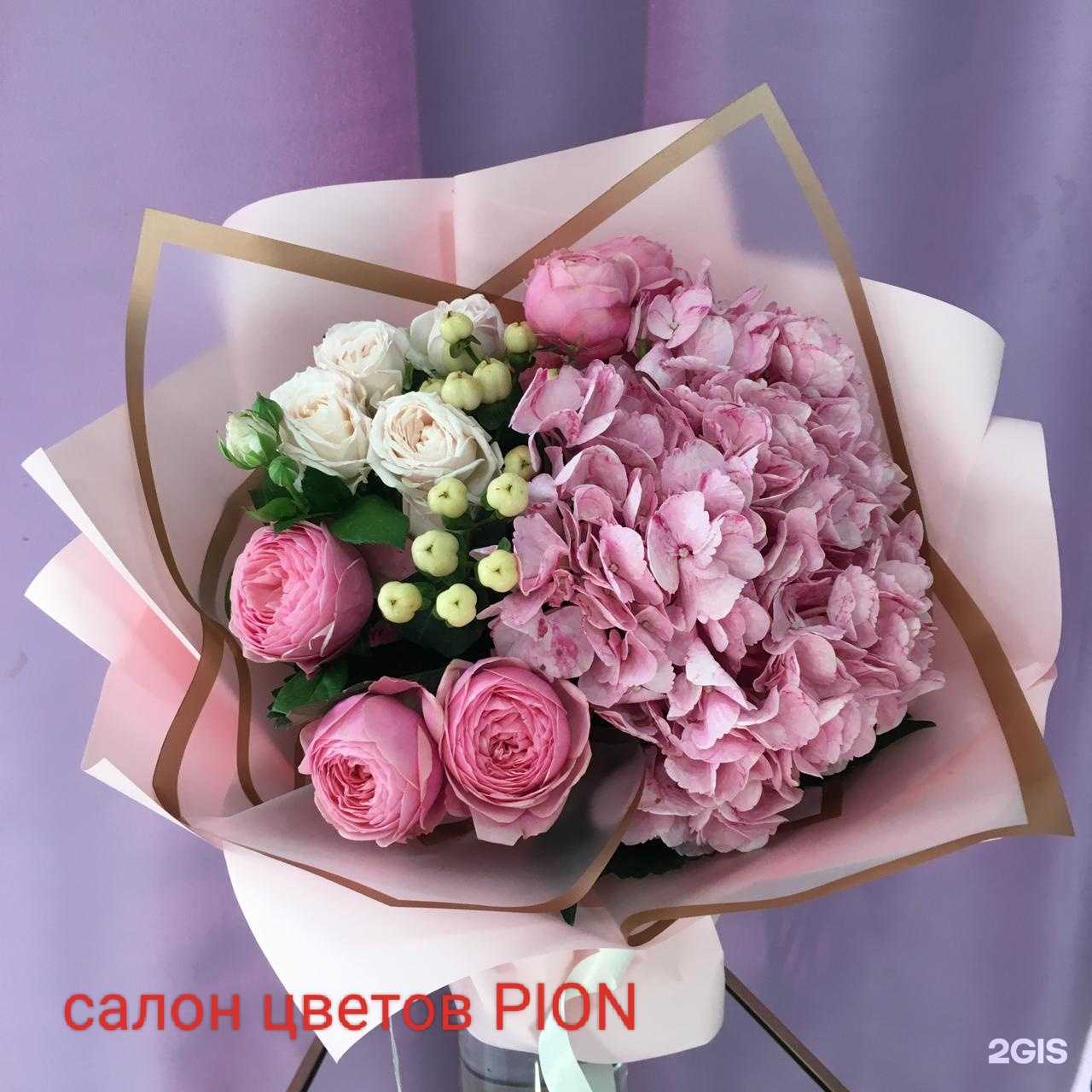 Отзывы на компанию Пион в г. Геленджик c фото