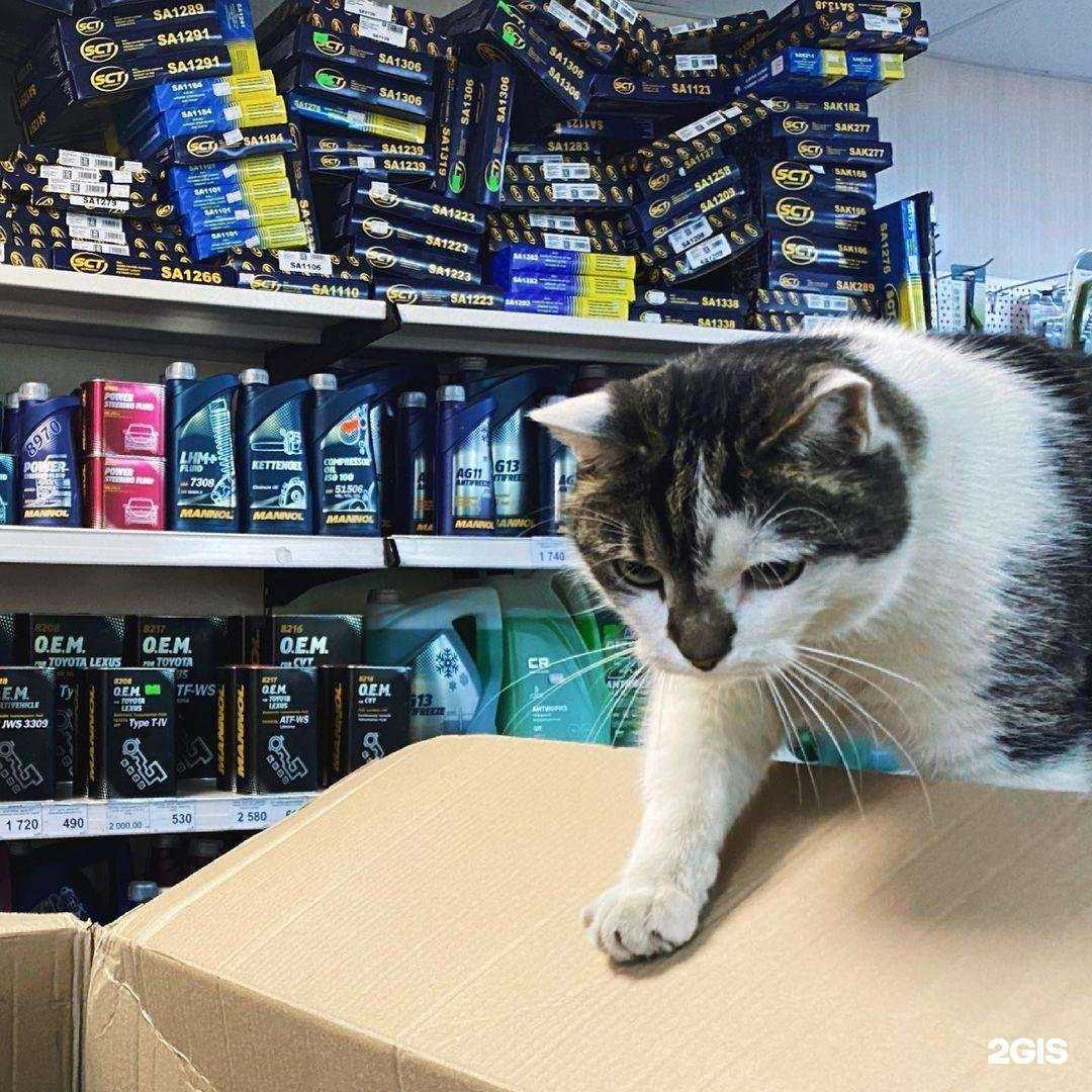 Отзывы на компанию Solaris в Мурманске c фото