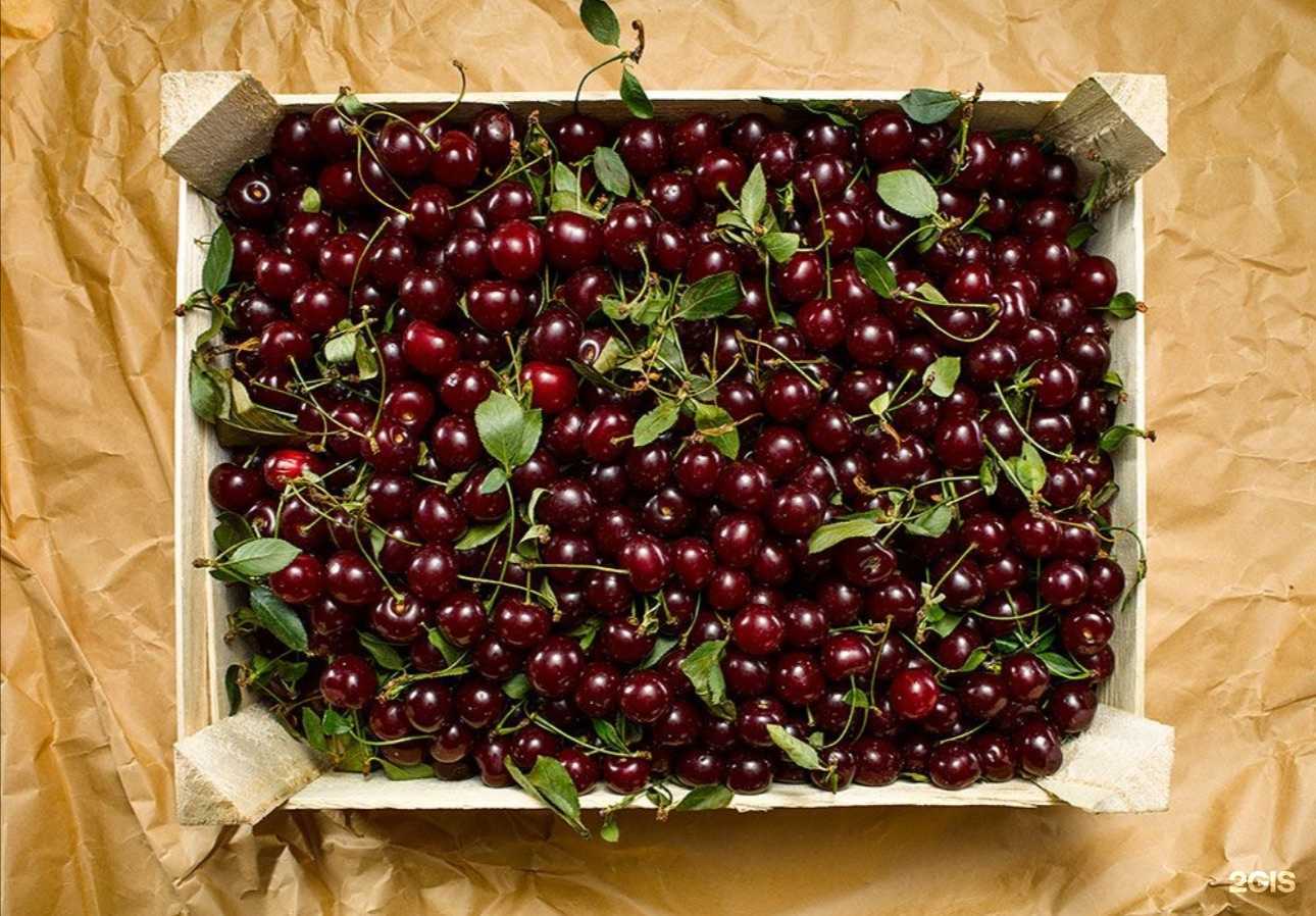 Отзывы на компанию Экоlavka в Перми c фото