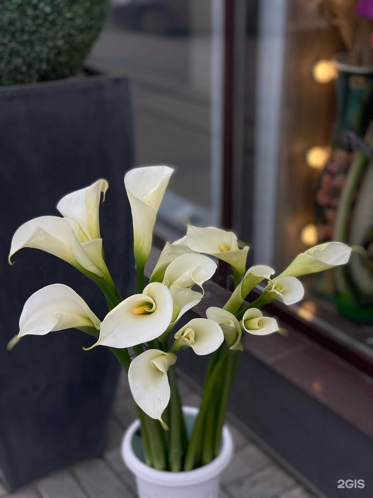 Отзывы на компанию Люксор в Челябинске c фото