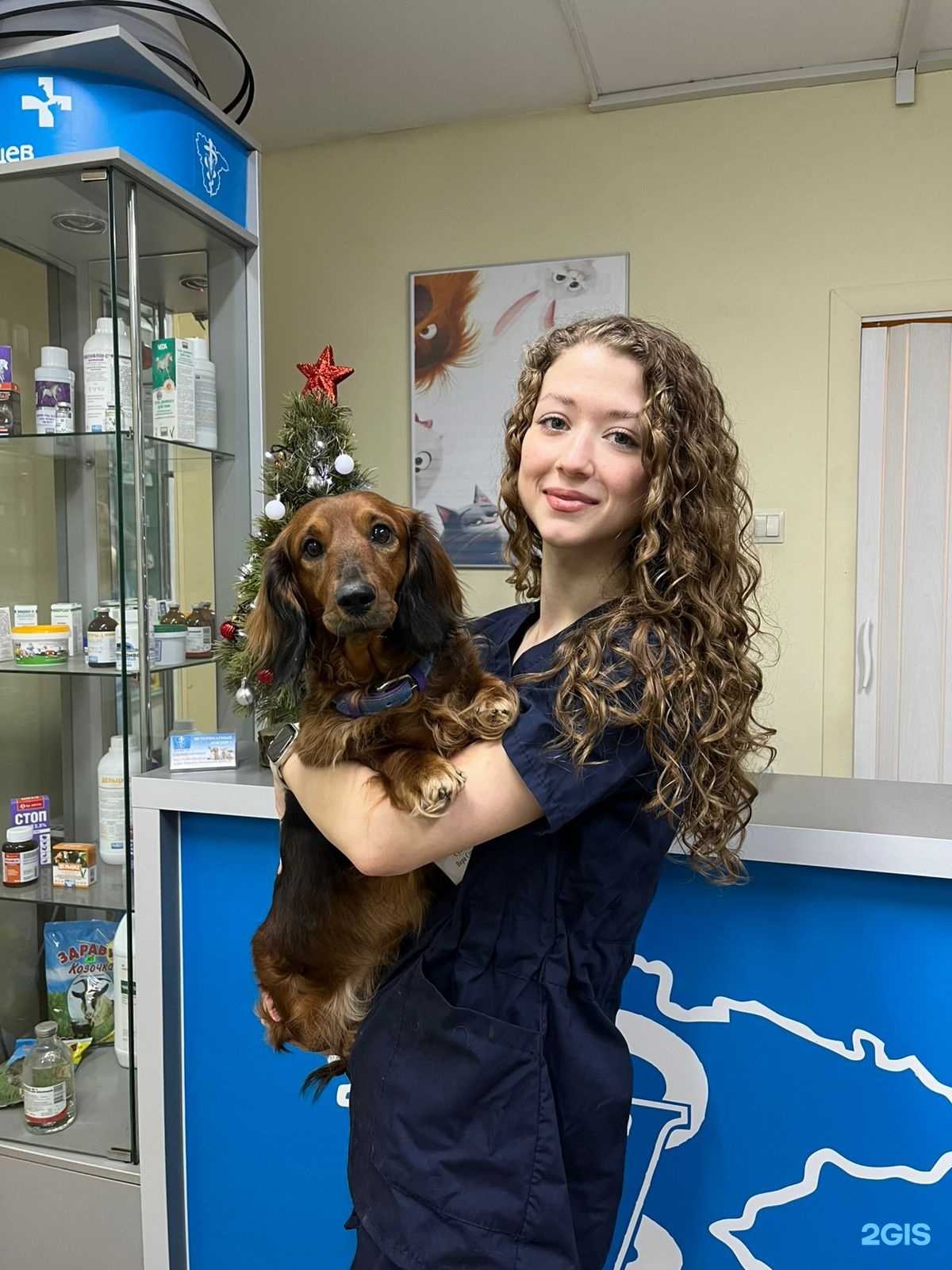 Отзывы на компанию Ветеринарный доктор в Воронеже c фото
