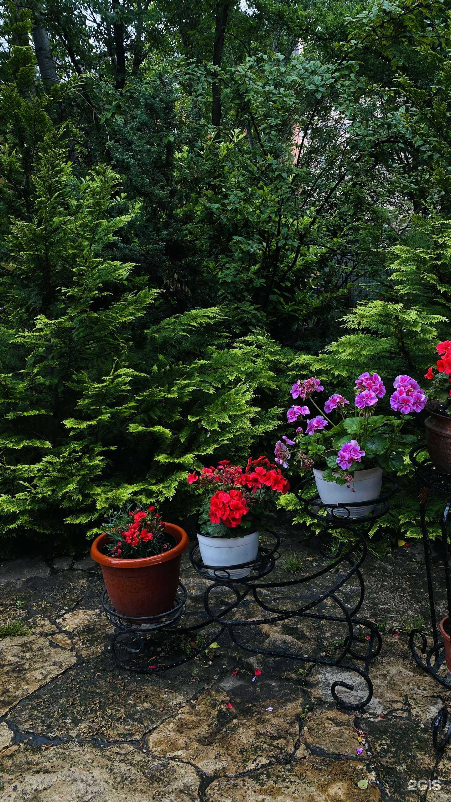 Отзывы на компанию Планета детства в г. Махачкала c фото