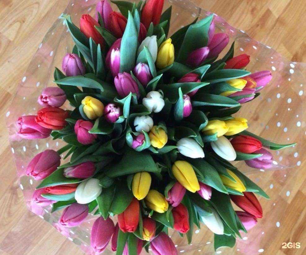 Отзывы на компанию Теплица в Артёме c фото