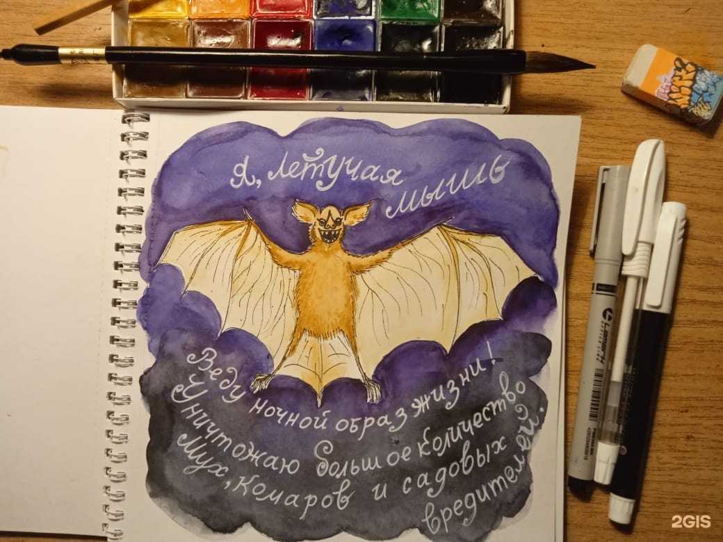 Отзывы на компанию Загогулина в г. Новосибирск c фото