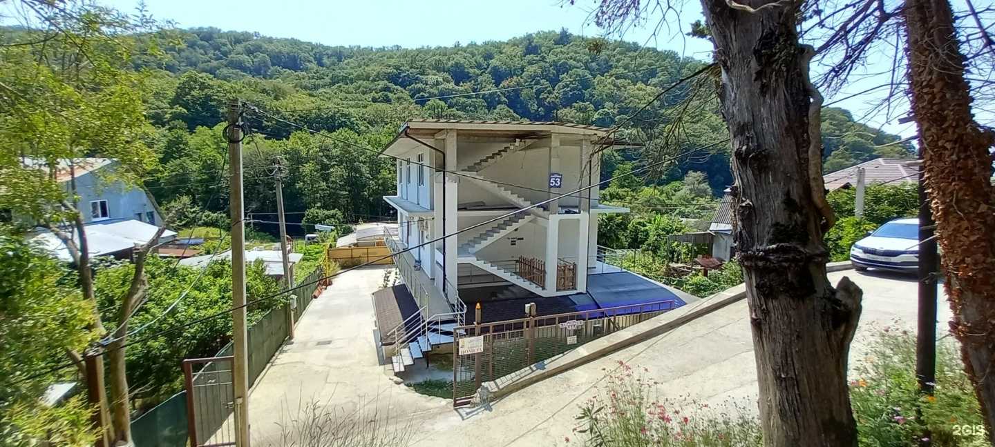 Отзывы на компанию Жара в Сочи c фото