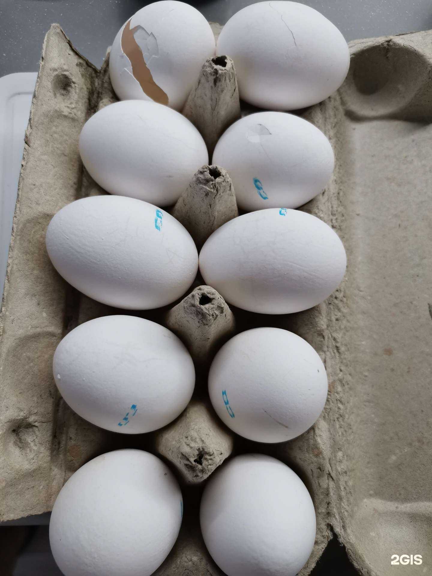 Отзывы на компанию Самокат в Омске c фото