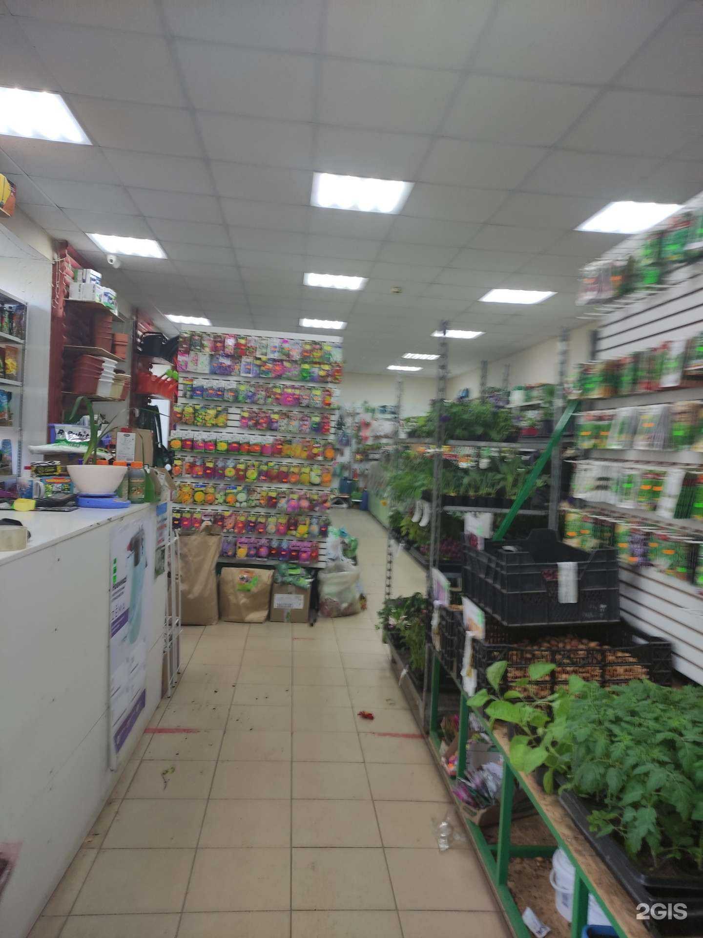 Отзывы на компанию Цветущий сад в г. Ковров c фото