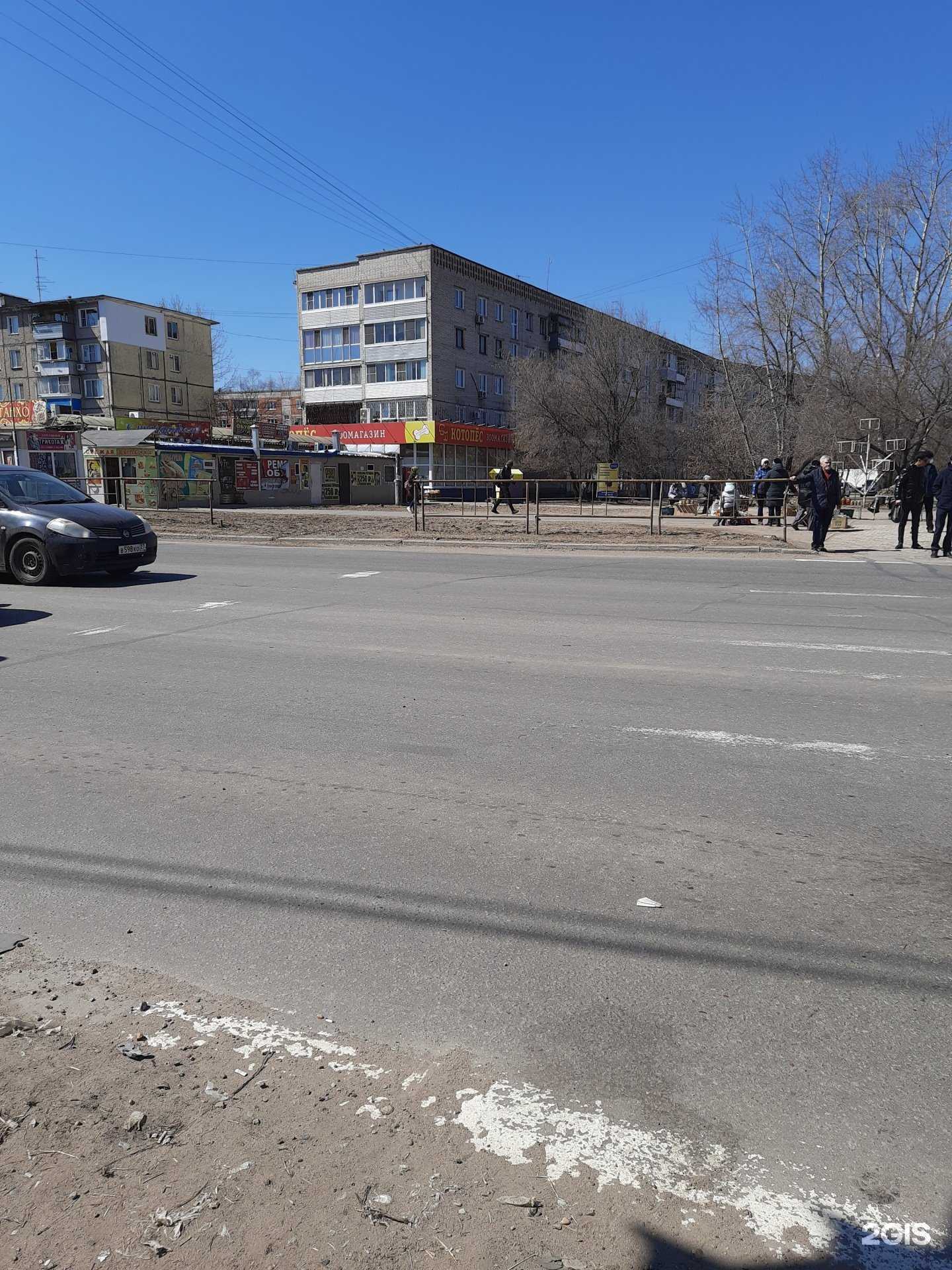 Отзывы на компанию Котопёс в Хабаровске c фото - фотография 2 из 2