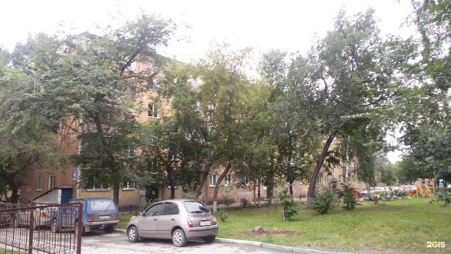 Отзывы на компанию Дикая орхидея в Новосибирске c фото - фотография 2 из 2