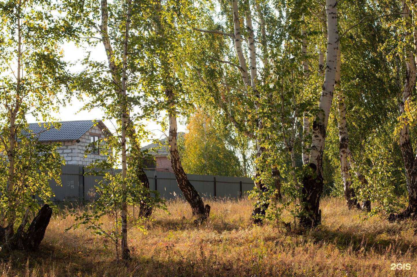 Отзывы на компанию Главный в г. Копейск c фото