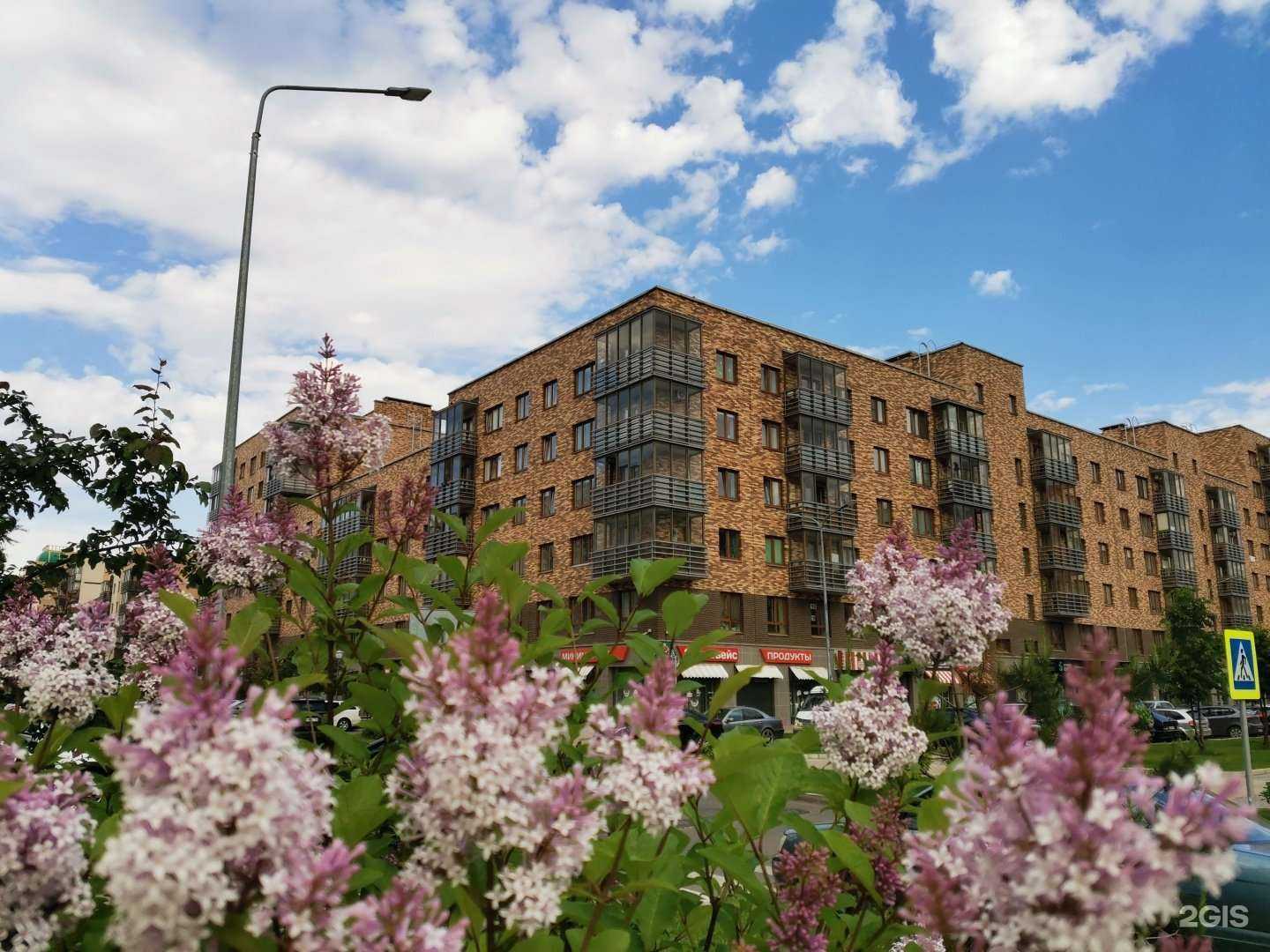 Отзывы на компанию Калина-малина в Красноярске c фото - фотография 2 из 2