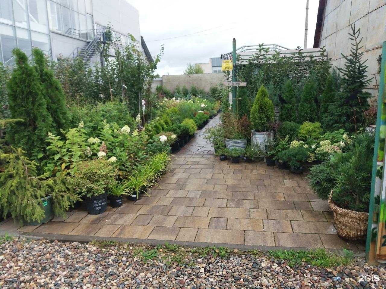 Отзывы на компанию Зелёная страна в Иванове c фото