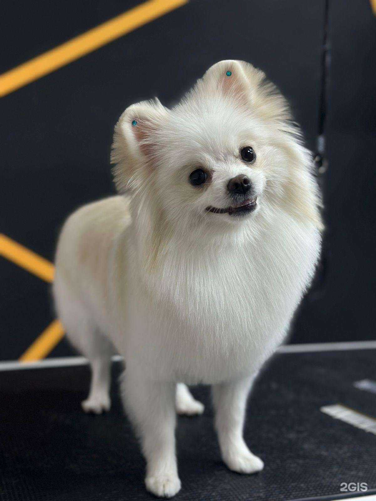 Отзывы на компанию Прайд в г. Хабаровск c фото