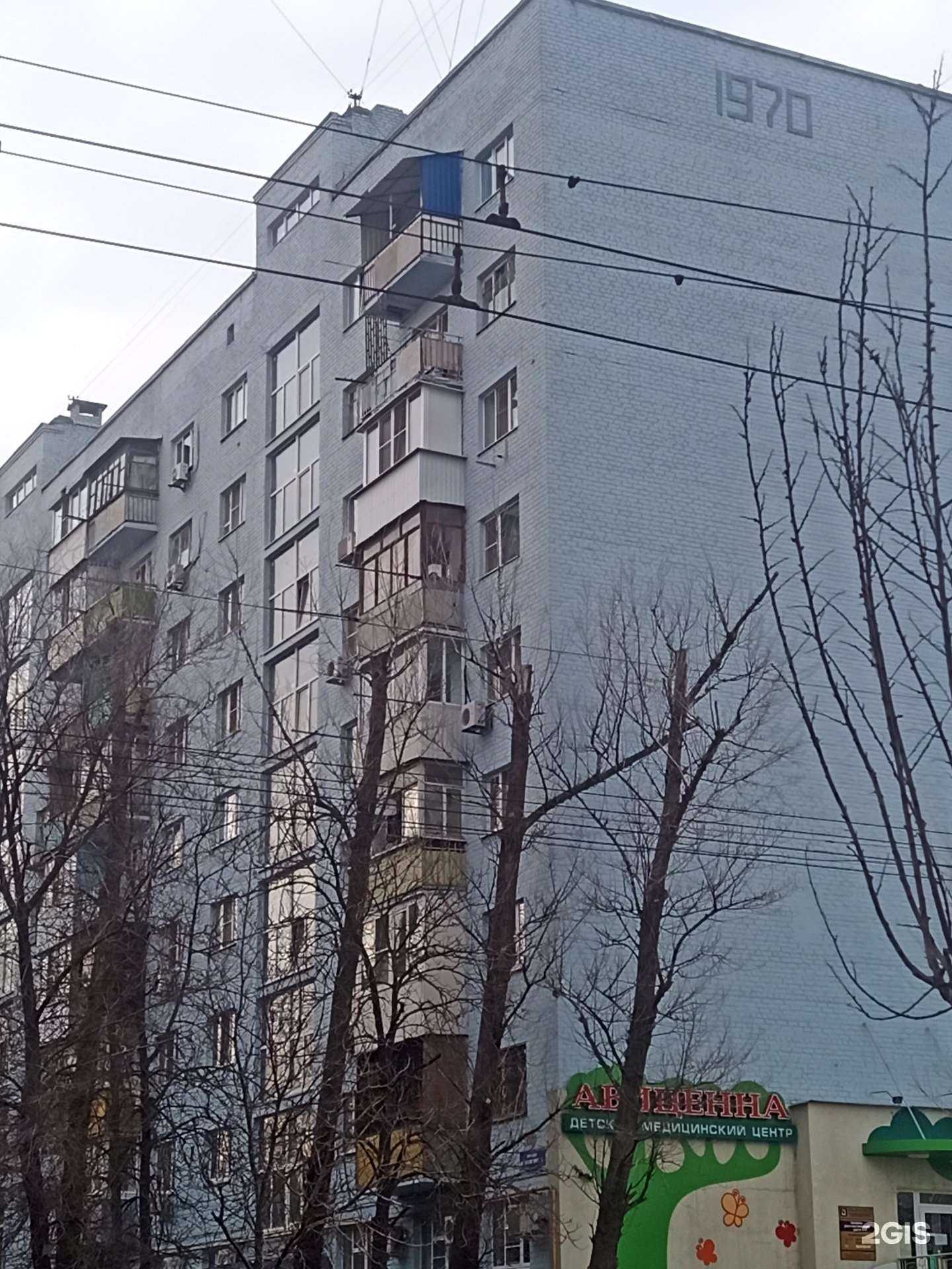 Отзывы на компанию Авиценна в Ростове-на-Дону c фото - фотография 2 из 2