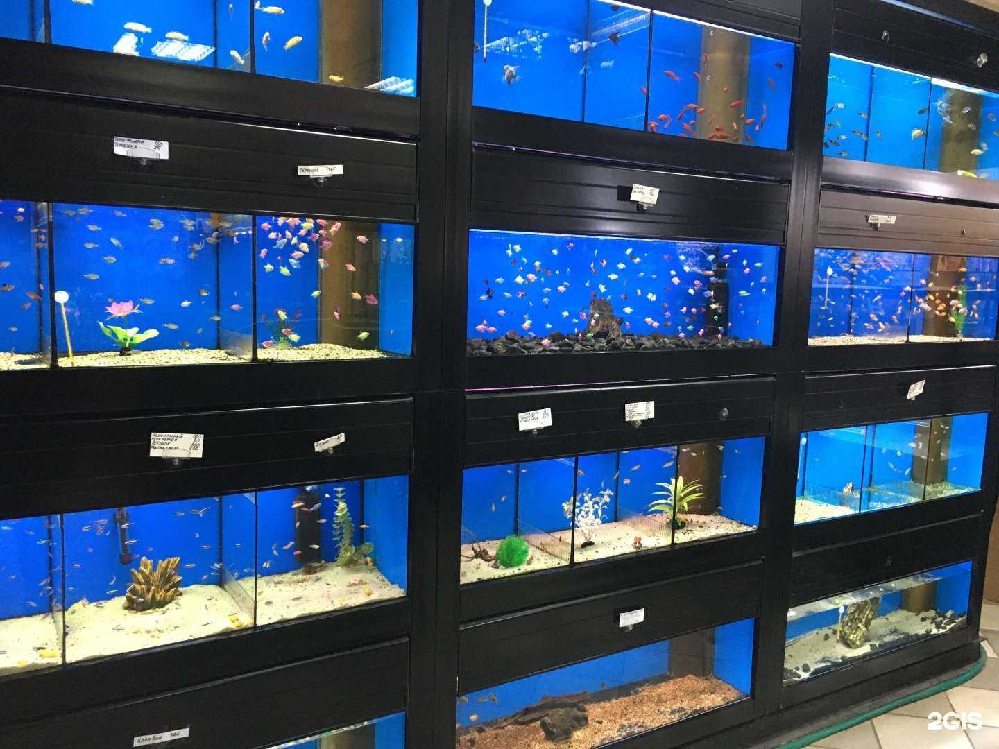 Отзывы на компанию Аквариум плюс в Оренбурге c фото