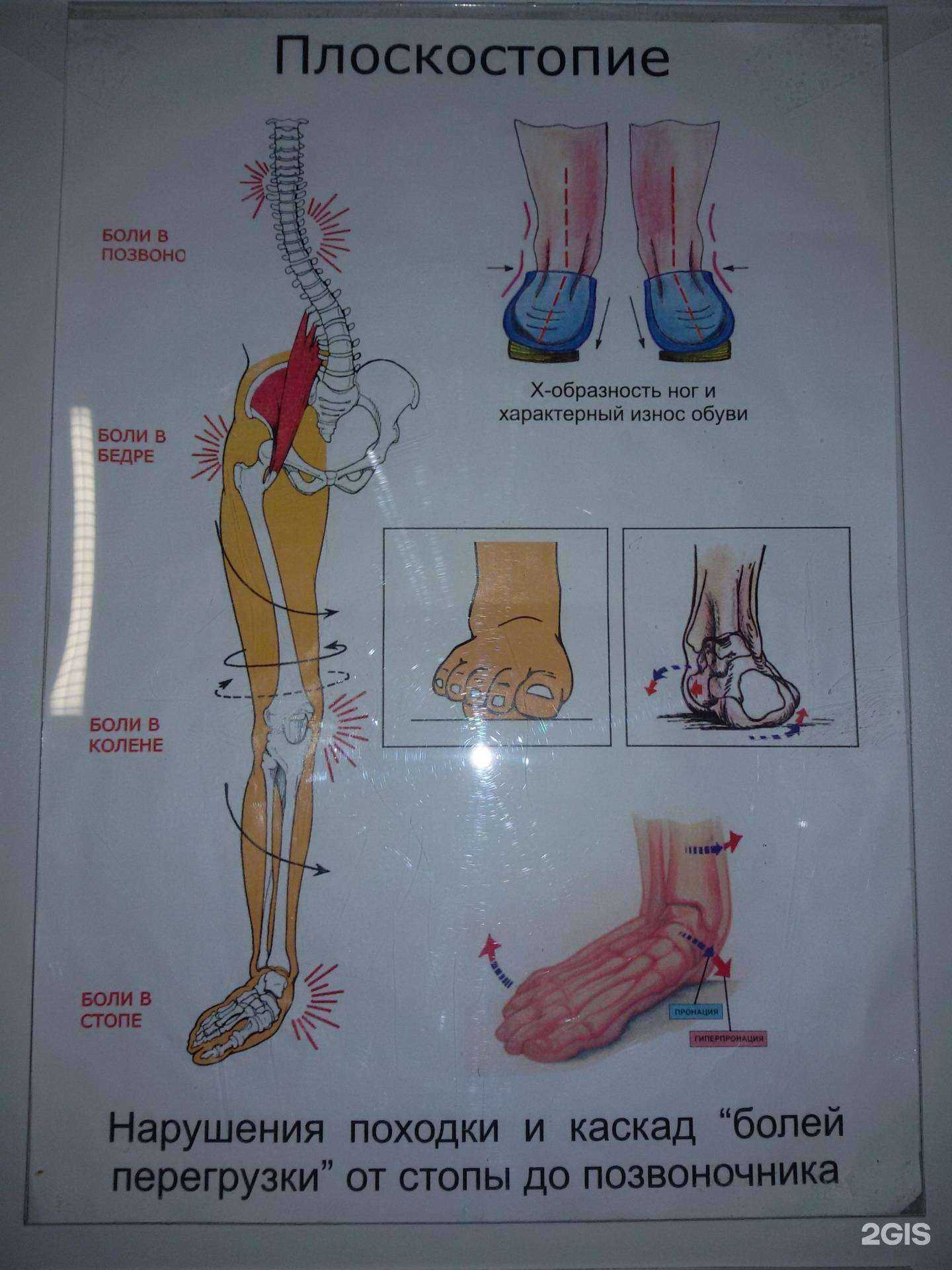Отзывы на компанию Пульс в г. Сыктывкар c фото