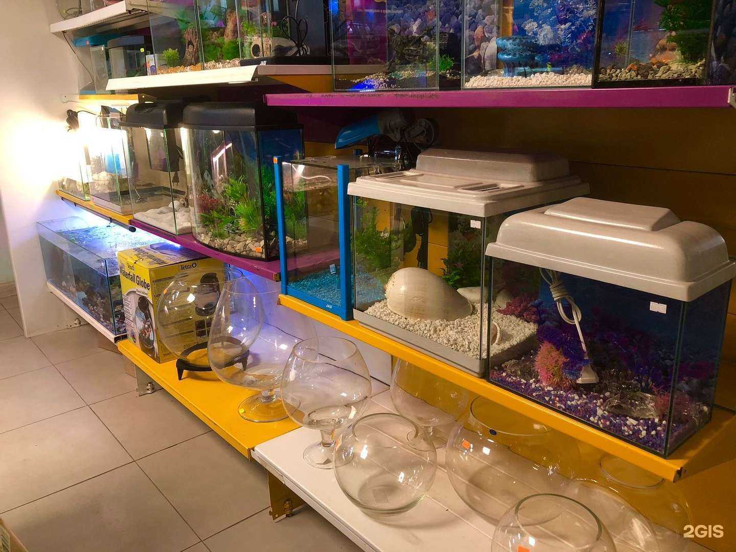 Отзывы на компанию АкваЗоо в Новосибирске c фото