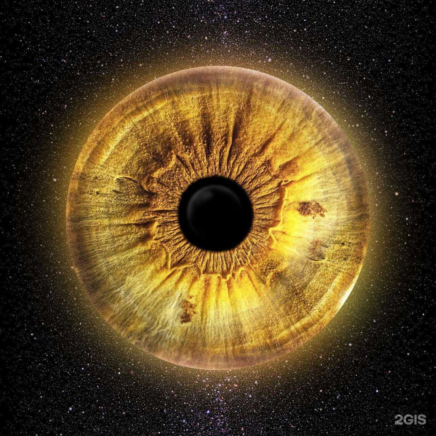 Отзывы на компанию macrolook в Челябинске c фото