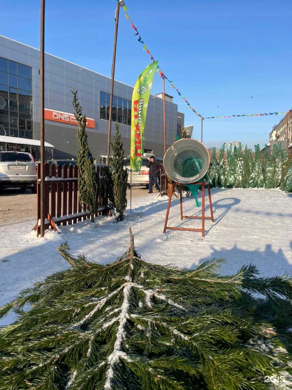 Отзывы на компанию Братья Ёлкины в Новосибирске c фото