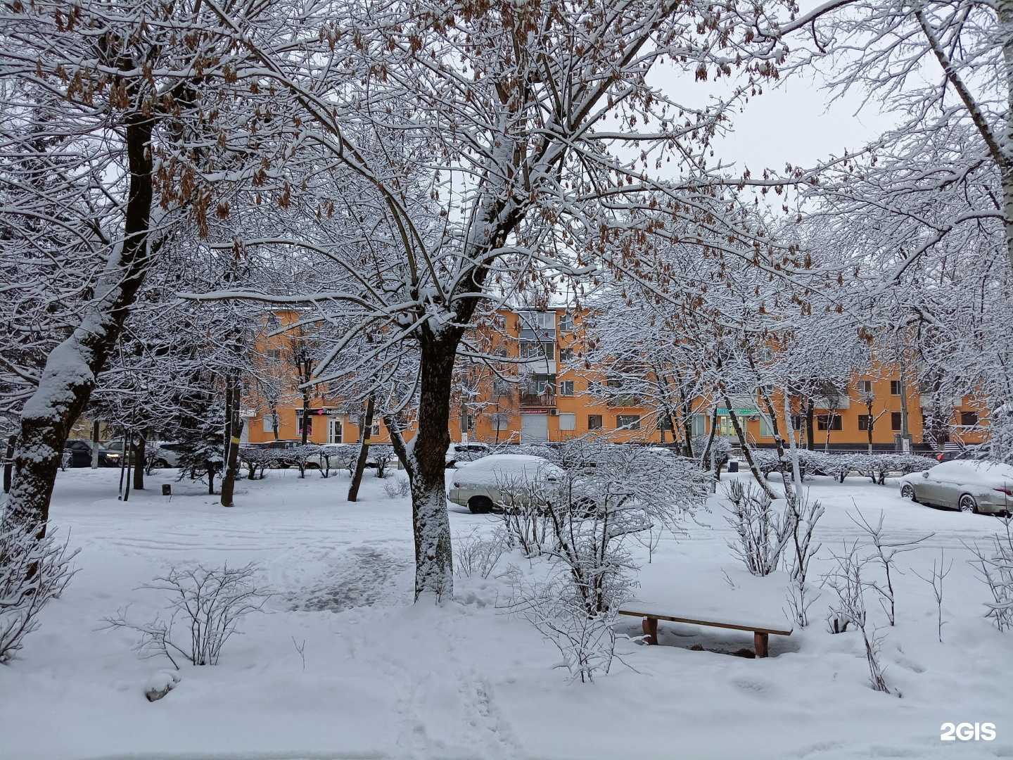 Отзывы на компанию Invitro в Твери c фото - фотография 2 из 2