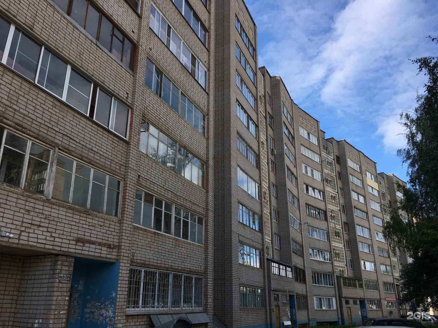 Отзывы на компанию Любимчик в Кирове c фото - фотография 2 из 2