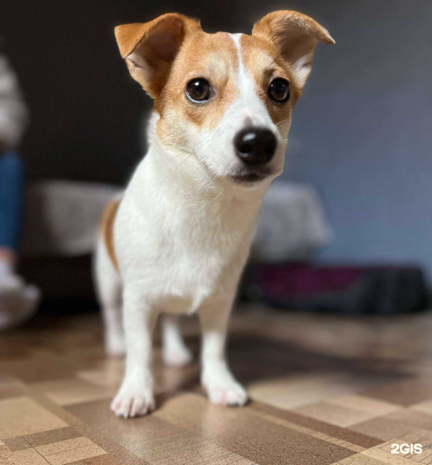 Отзывы на компанию Молли в Красноярске c фото