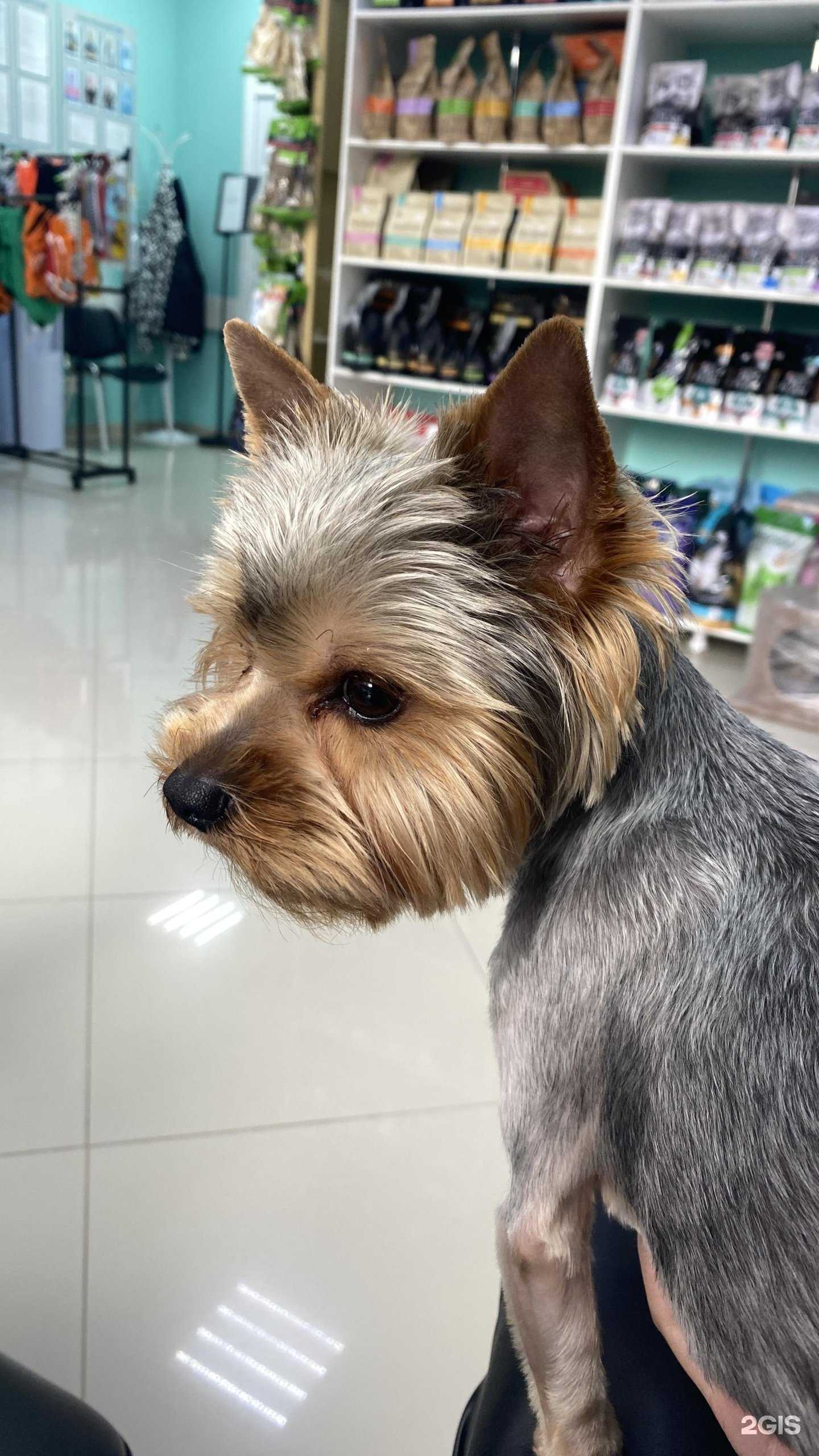 Отзывы на компанию Слон в Краснодаре c фото