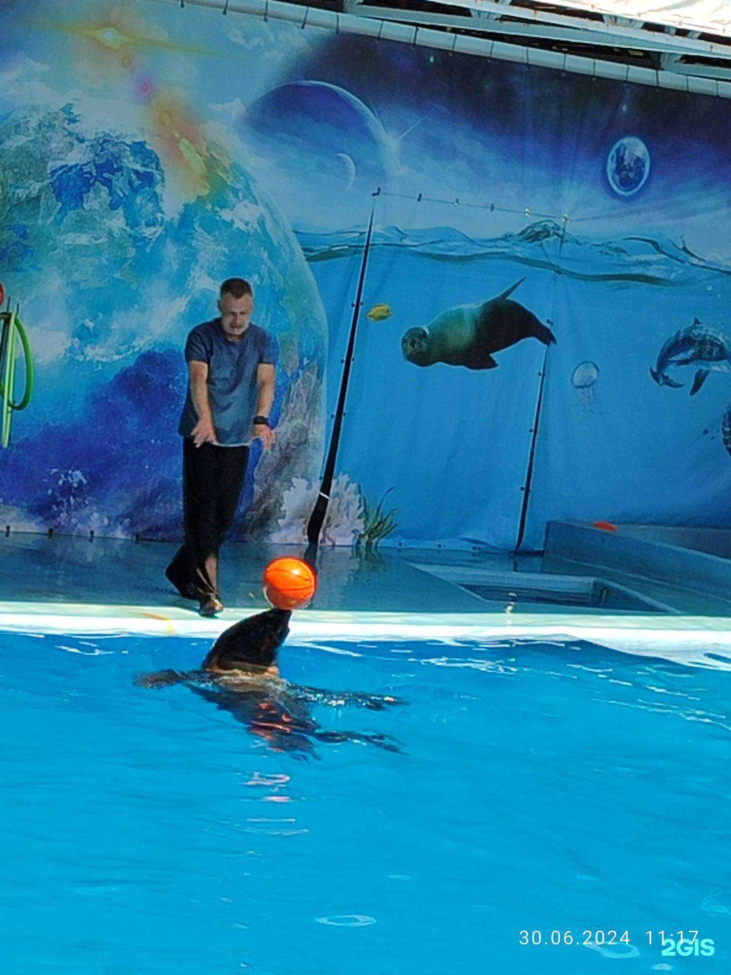 Отзывы на компанию Лоо №1 в г. Сочи c фото