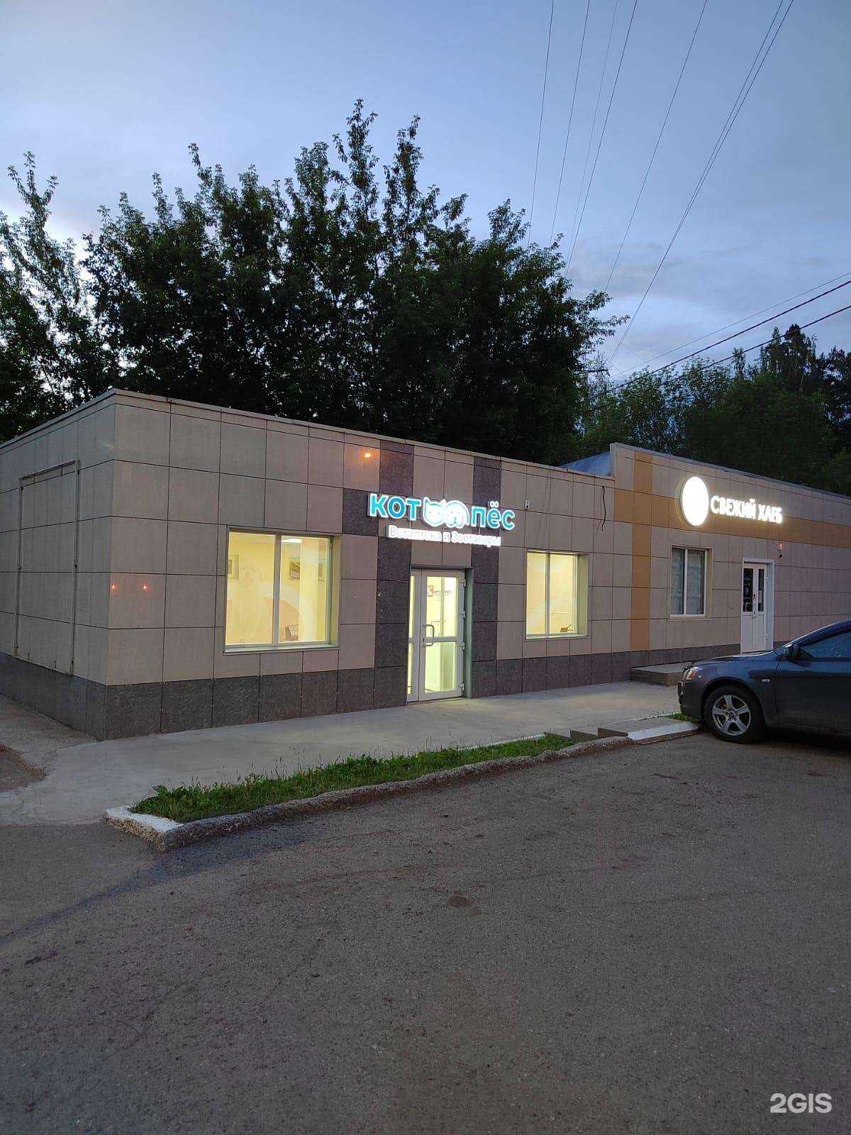 Отзывы на компанию Кот и пёс в г. Дивногорск c фото