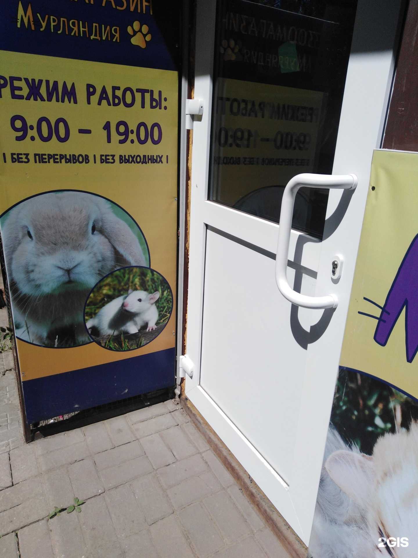 Отзывы на компанию Мурляндия в Тамбове c фото