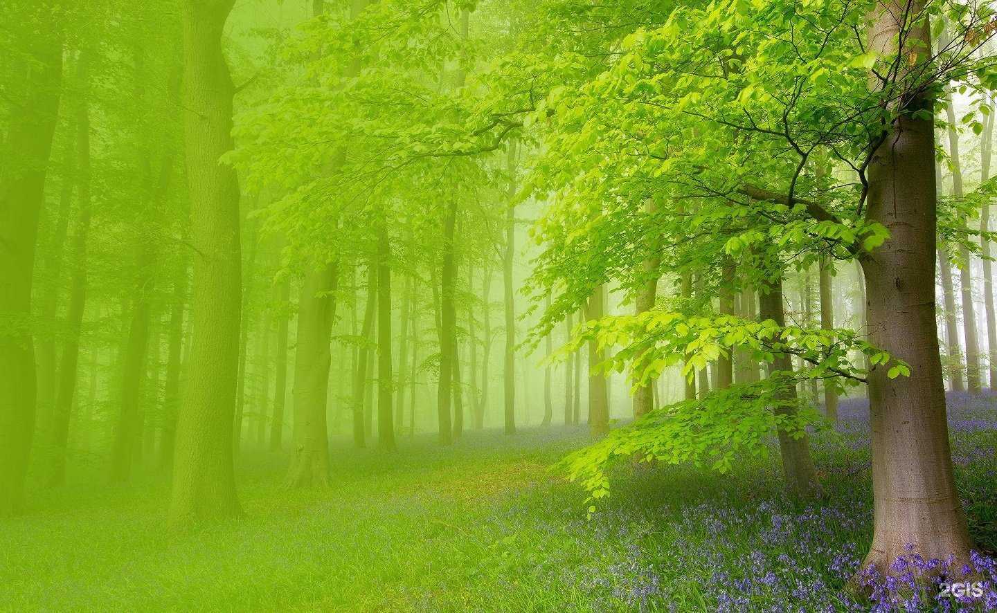 Отзывы на компанию Экотех-пром в Тамбове c фото