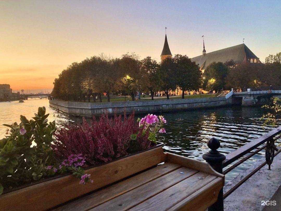 Отзывы на компанию Юный художник в г. Калининград c фото