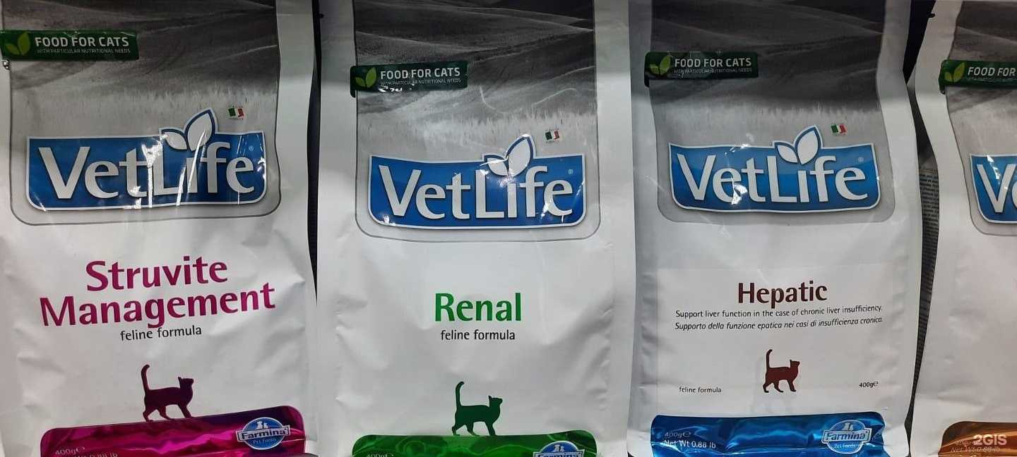 Отзывы на компанию Др.Холли в Воронеже c фото