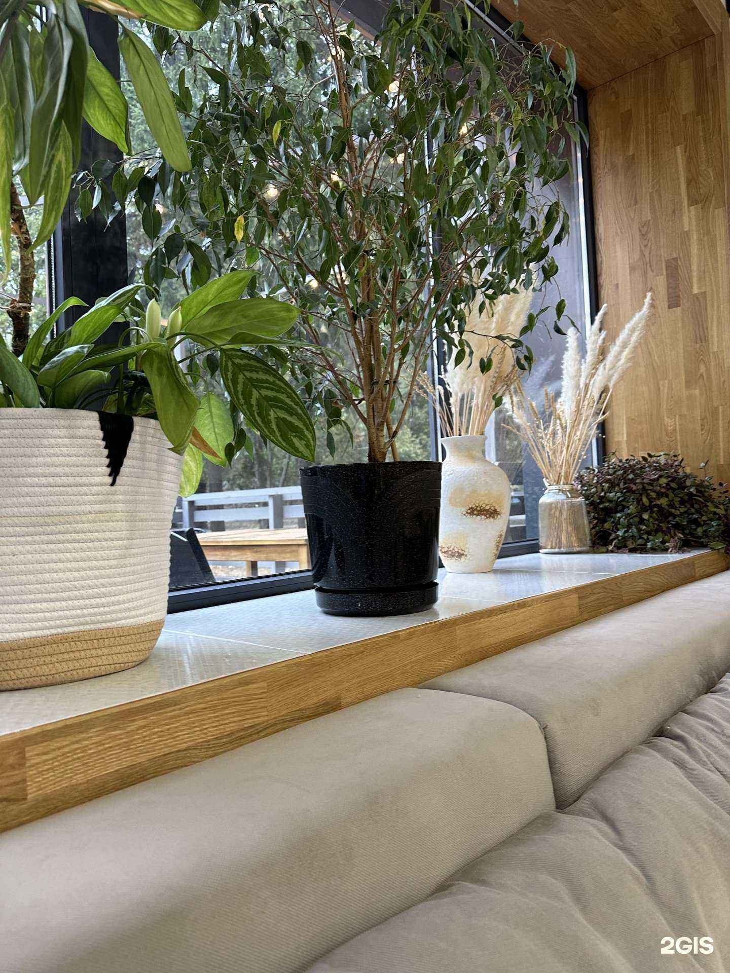 Отзывы на компанию Pro зёрна в г. Тамбов c фото