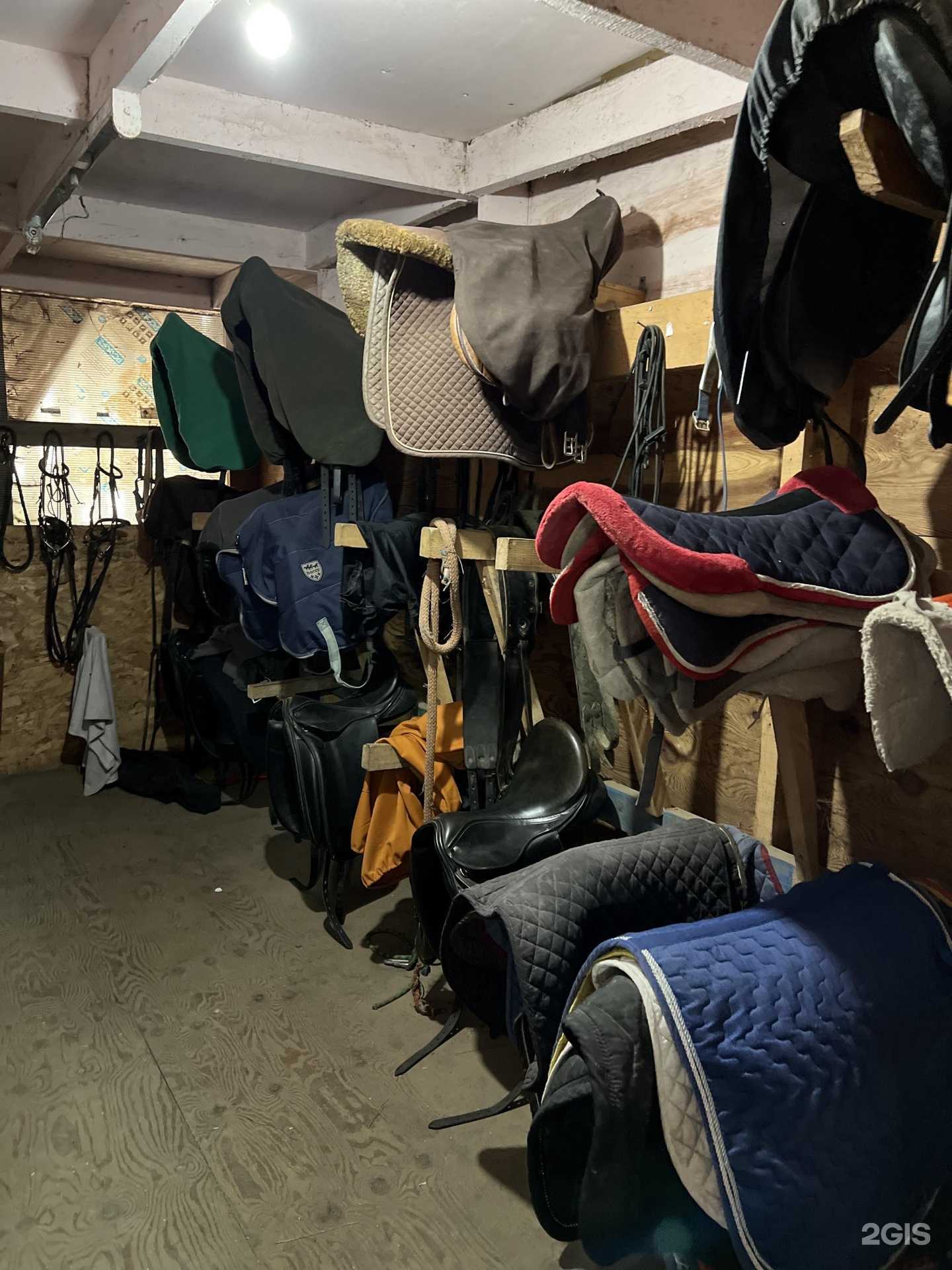 Отзывы на компанию Кентавр в г. Сочи c фото