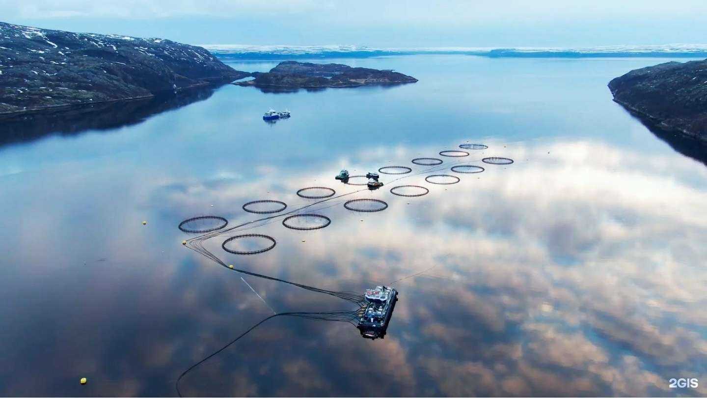 Отзывы на компанию Инарктика в Мурманске c фото