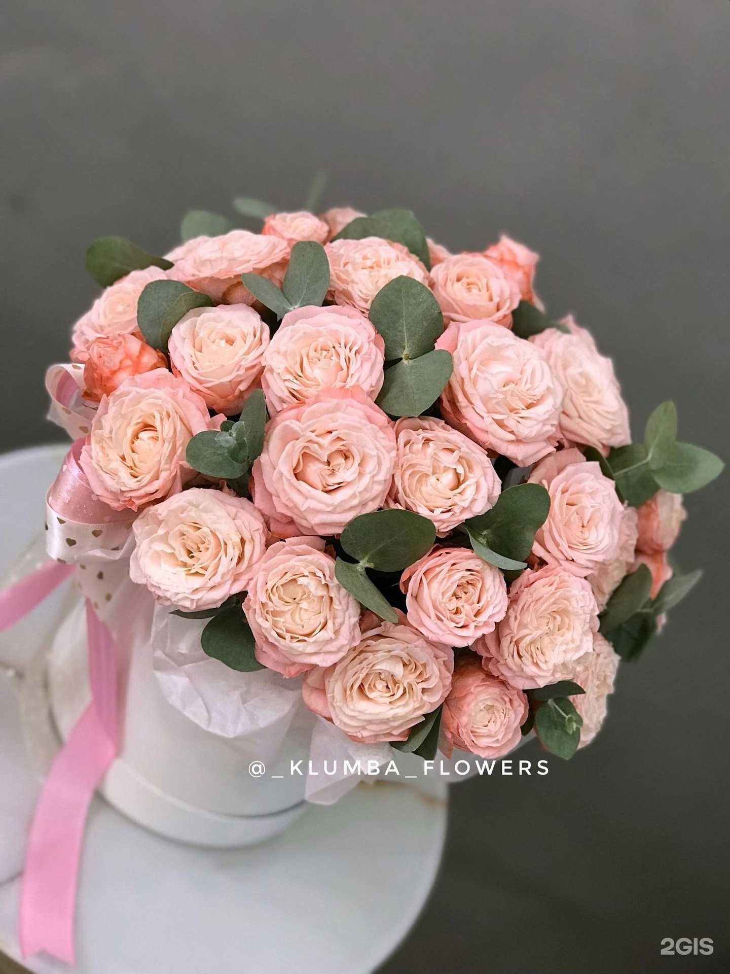 Отзывы на компанию Blade в Дзержинске c фото - фотография 2 из 2