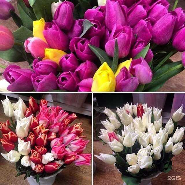 Отзывы на компанию Цветы экспресс в Ставрополе c фото