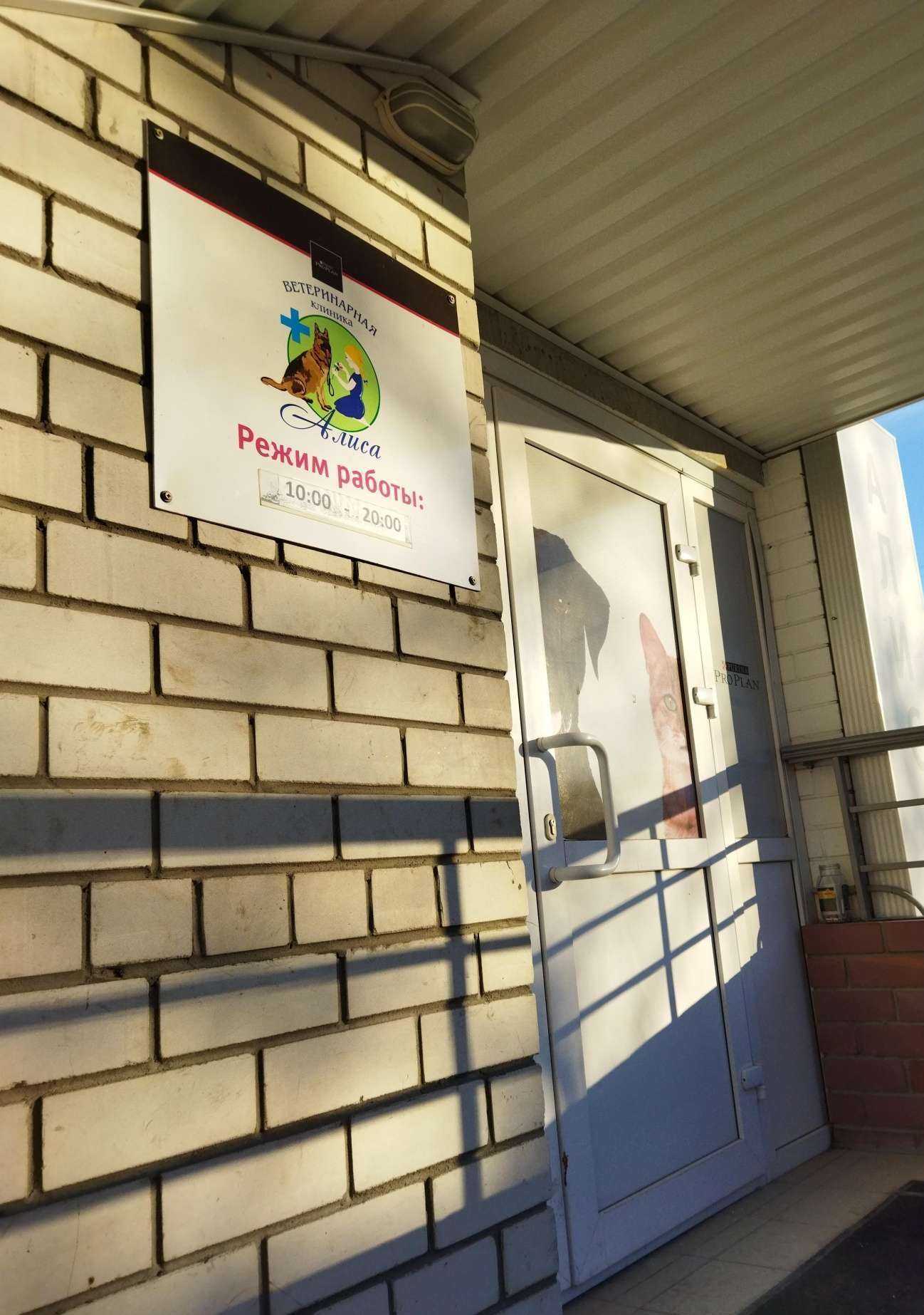 Отзывы на компанию Алиса в Тюмени c фото