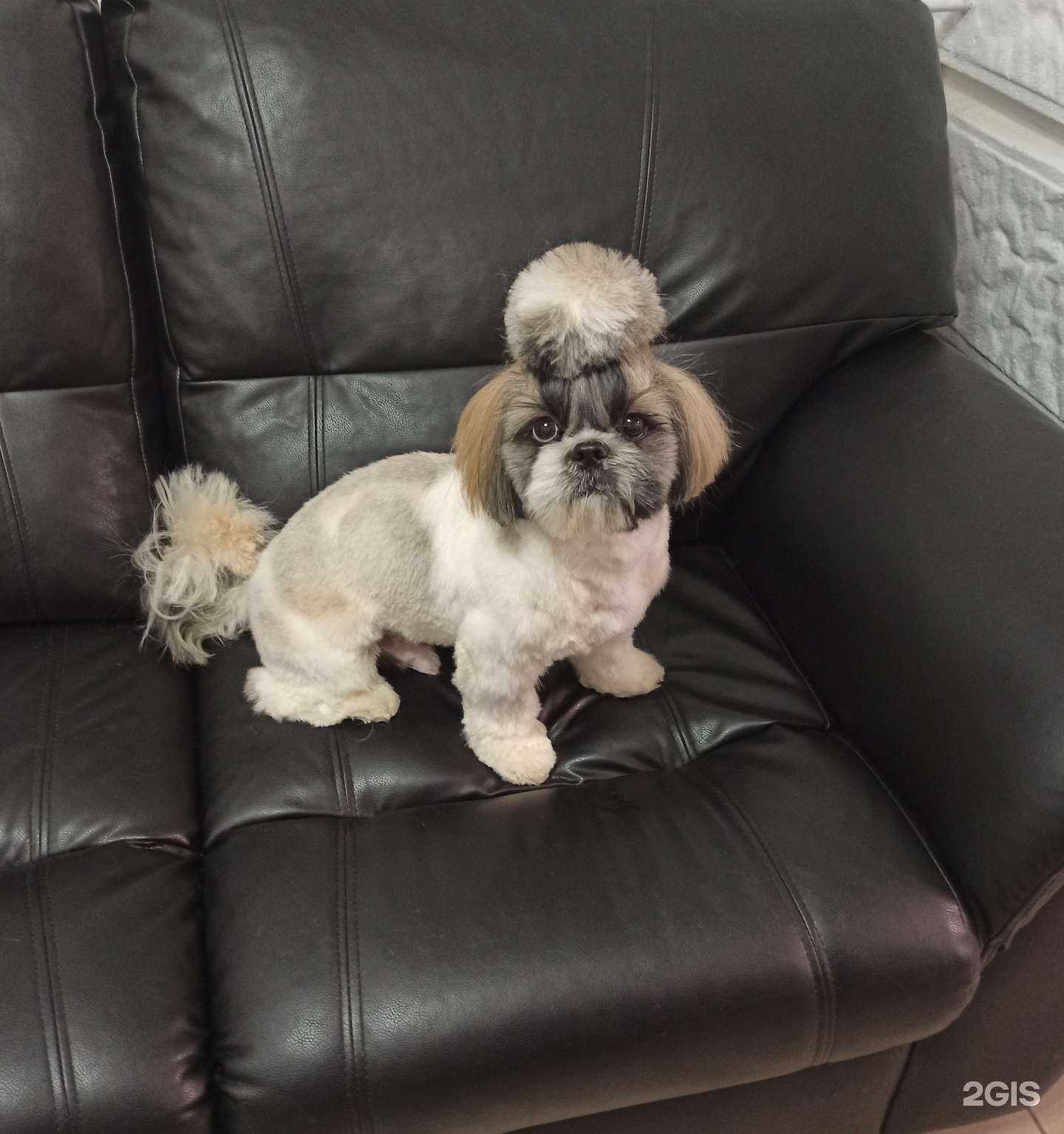 Отзывы на компанию Бенджамин в г. Тверь c фото