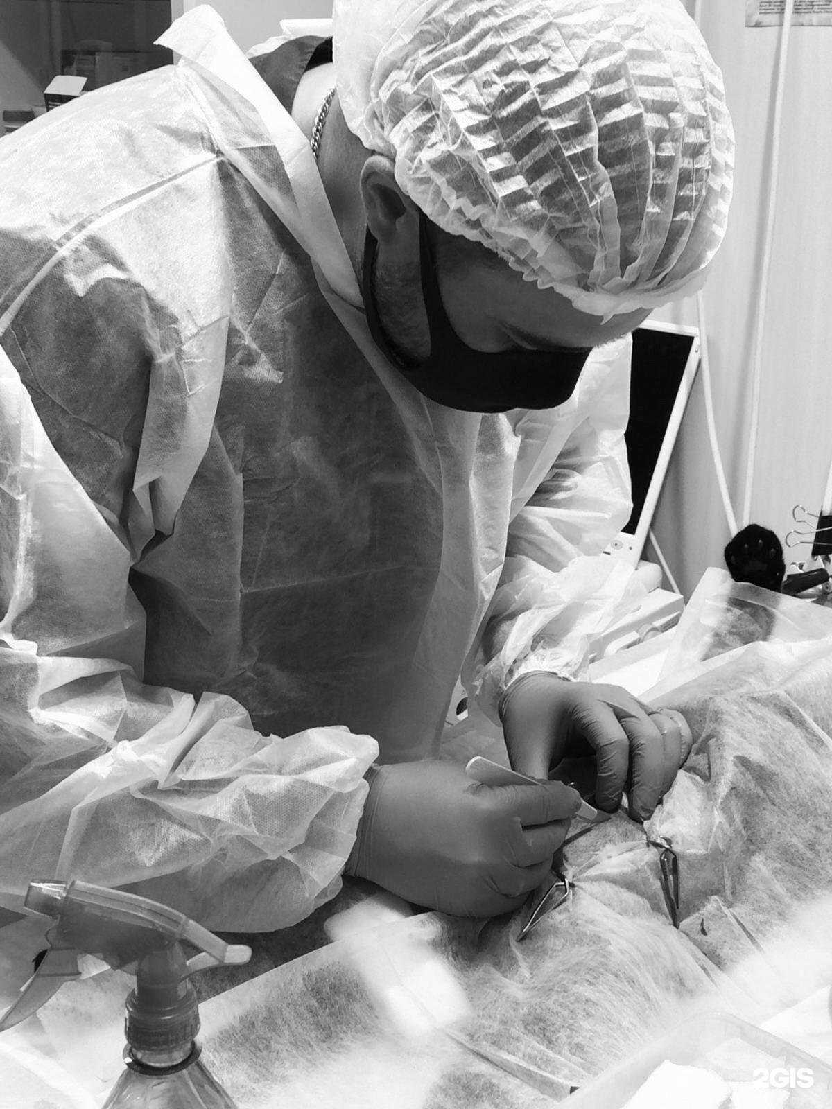 Отзывы на компанию Доктор Зоо в г. Ульяновск c фото